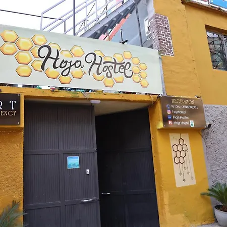 Hostel Hoja