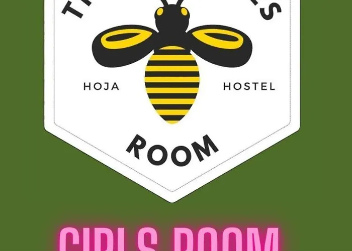 بيت شباب Hoja